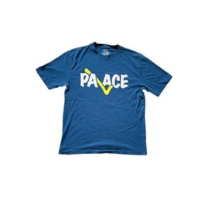 USED PALACE Skateboard Correct Check Royal Blue T Shirt Men’s Large